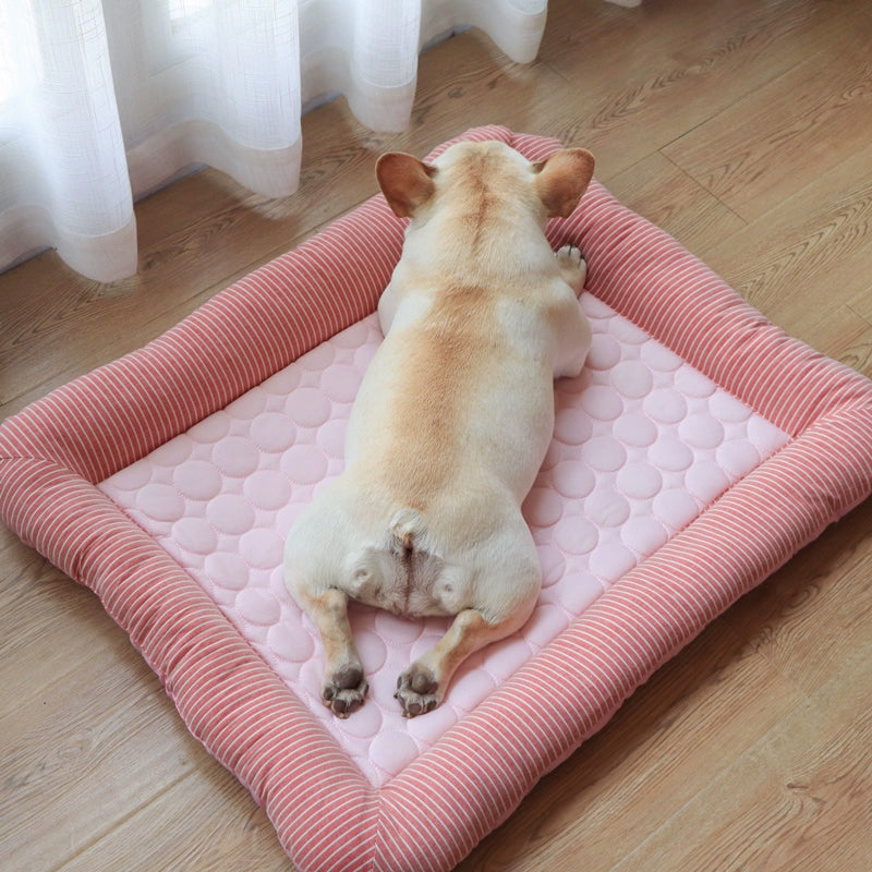 Beds/Blankets/Mats