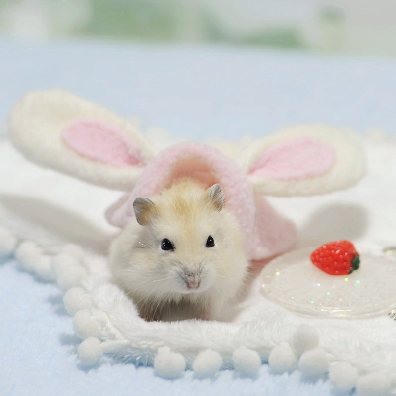 Small Animal