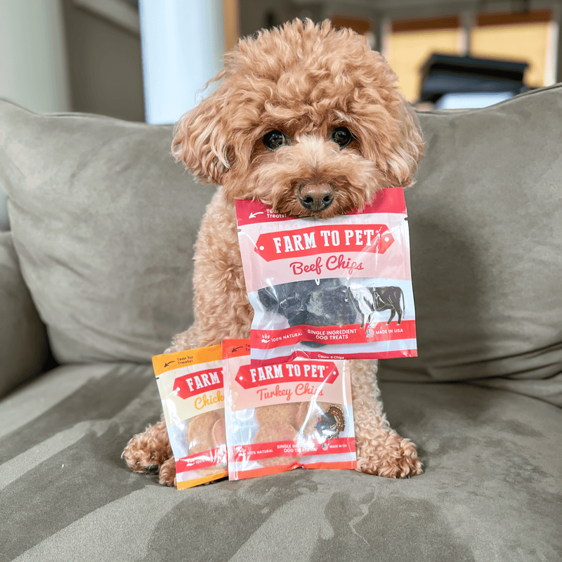Dog Treats