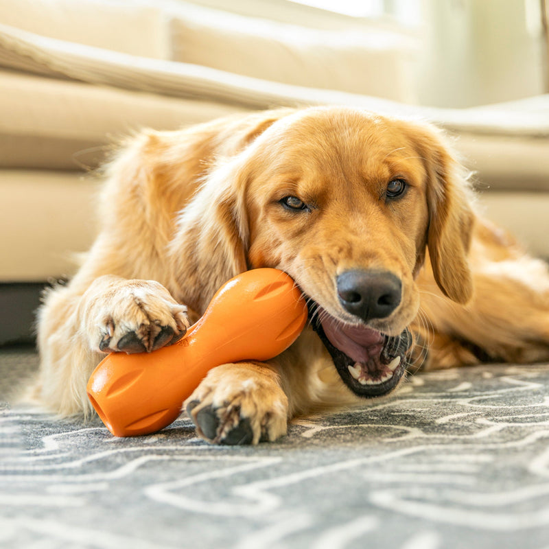 Dog Toys