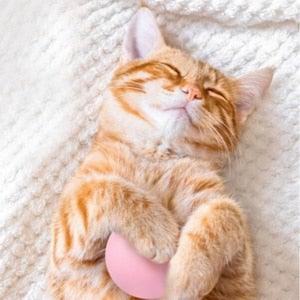 Cat Toys