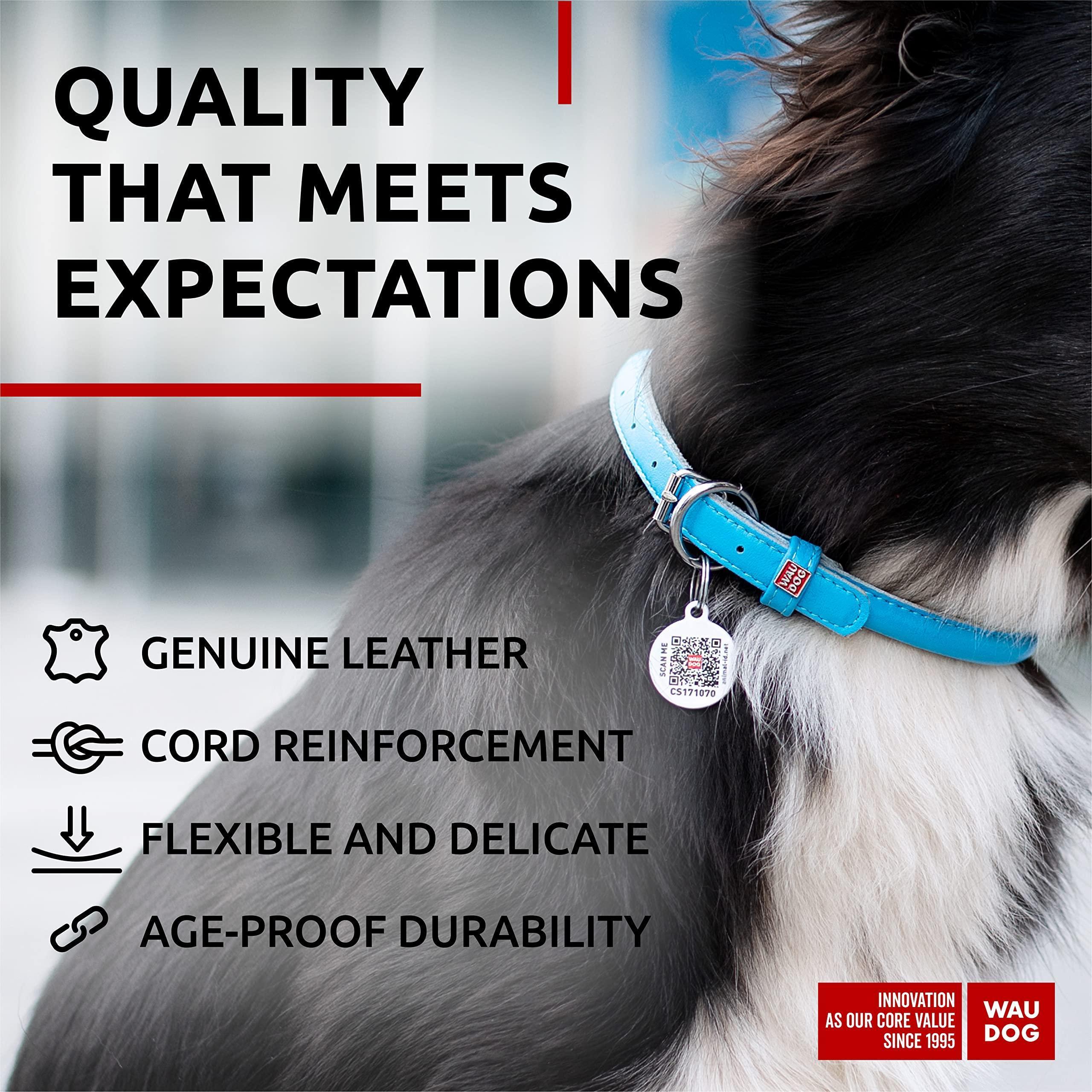 Blue Ultra Soft Rolled Leather Dog Collar 13-16 inch Neck Soft Padded Dog Collars for Medium Dogs Puppy Collar