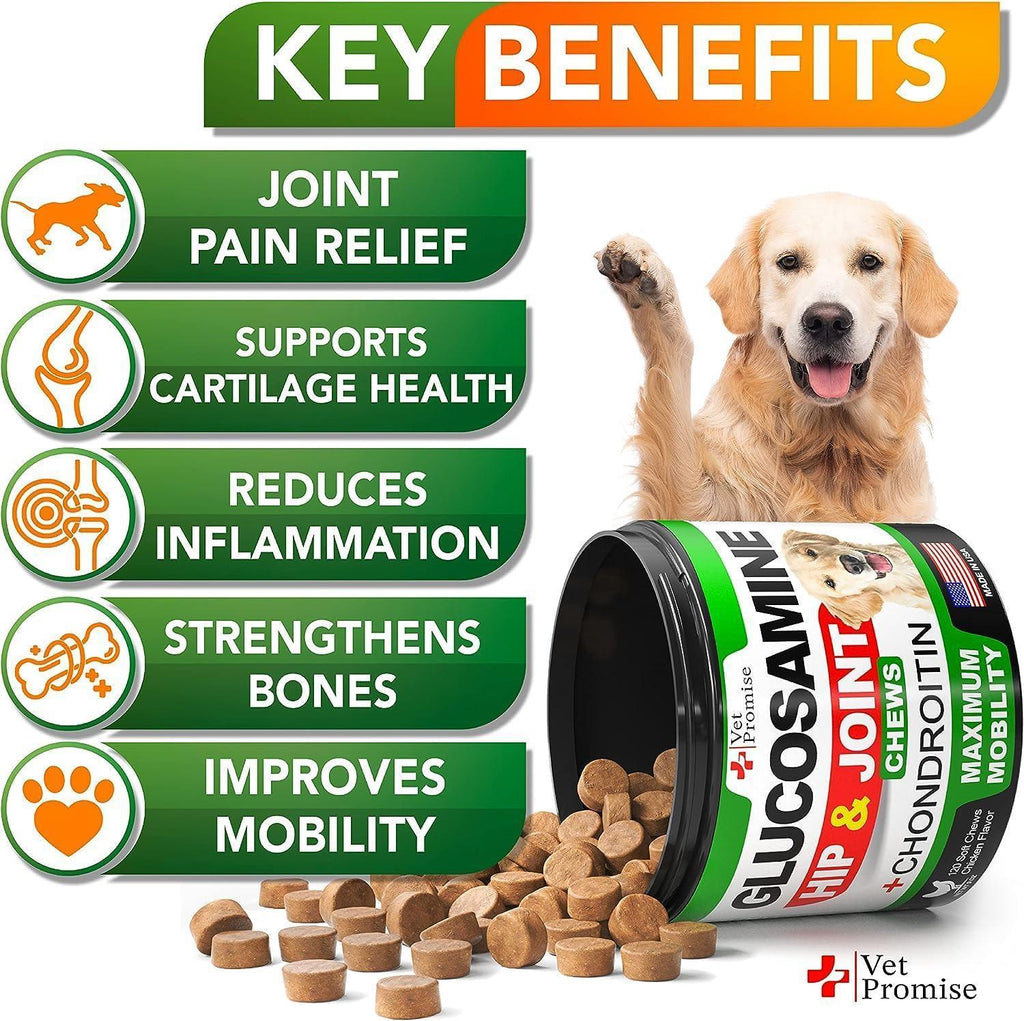 Glucosamine for Dogs 240 Count 2-Pack Hip & Joint Chondroitin