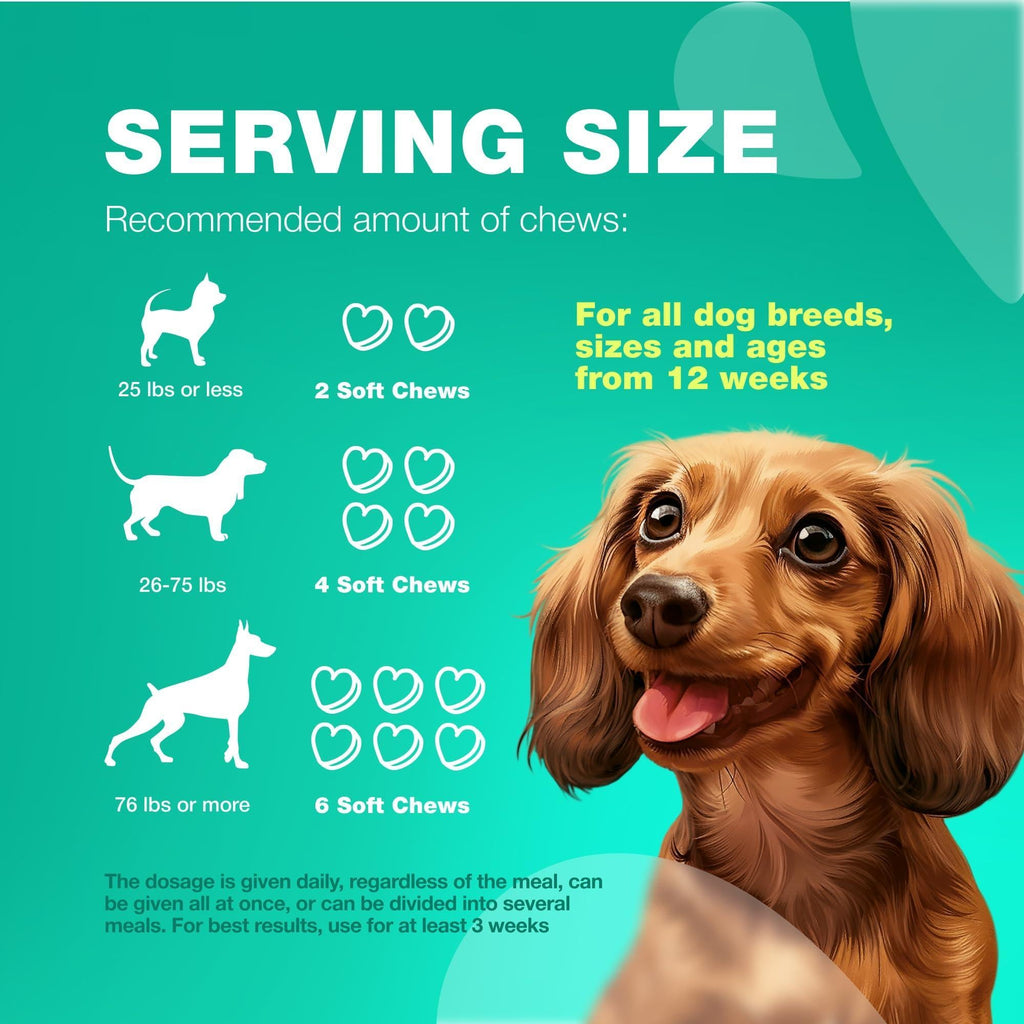 Probiotics for Dogs Digestive Enzymes Gut Health Pumpkin & Yeast Powder