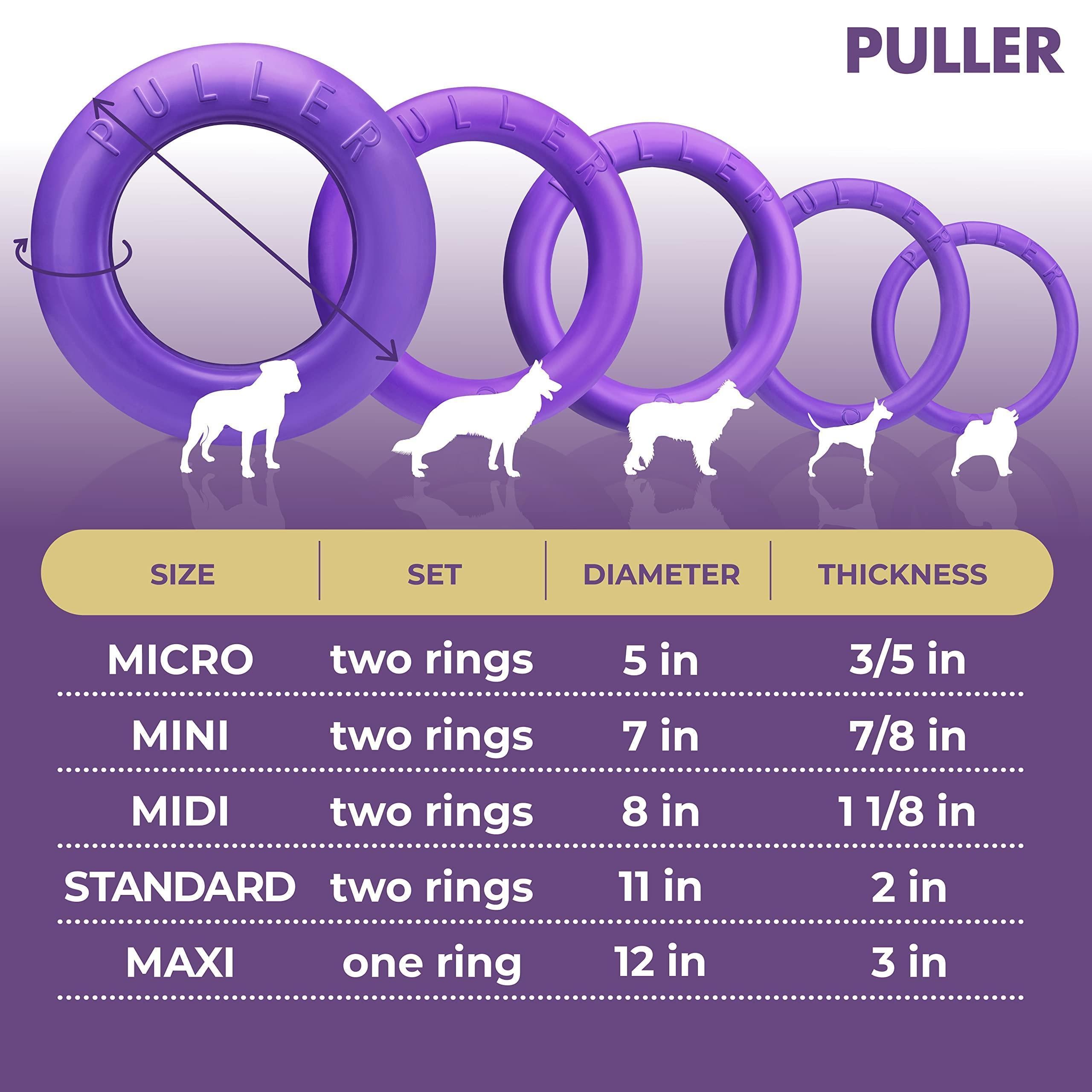 Dog Ring Fetch Toy Large Dogs Standard Size 2 Rings