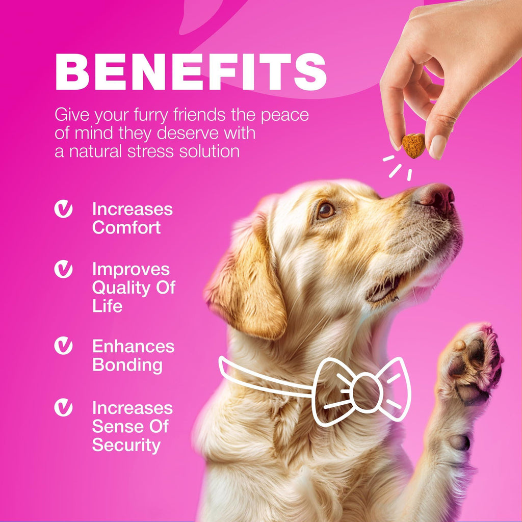 Dog UTI Treatment Cranberry Supplement Bladder & Kidney Health