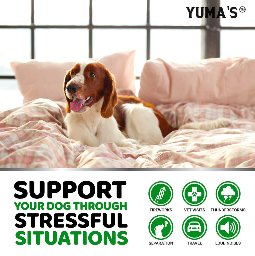 Hemp Calming Chews for Dogs 170 Count Anxiety Relief Beef Flavor