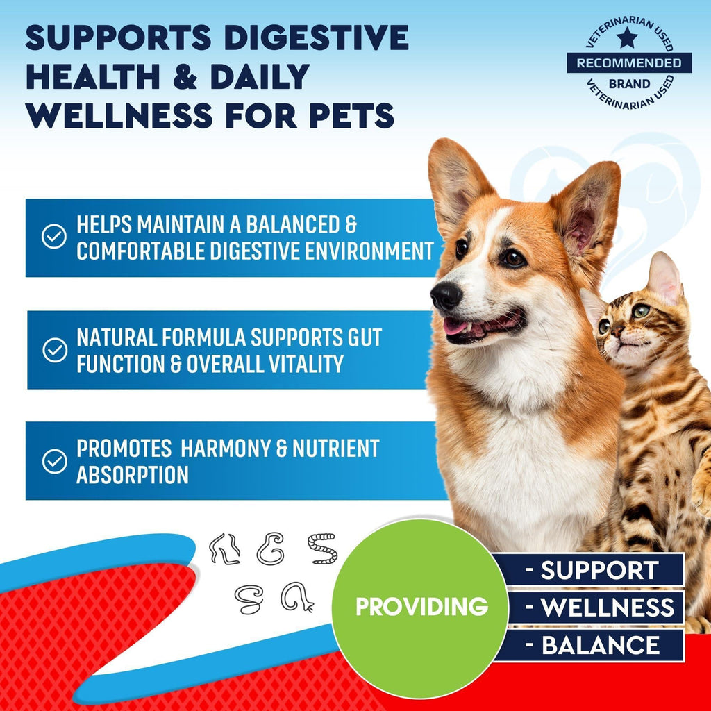 Intestinal Cleanse Drops for Dogs & Cats 60 ml 2-Pack Wormwood & Black Walnut