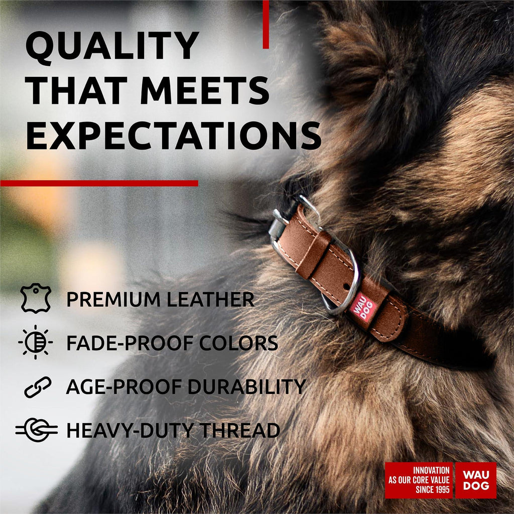 Leather Dog Collar Small & Medium Dogs 12–15 in Neck Brown