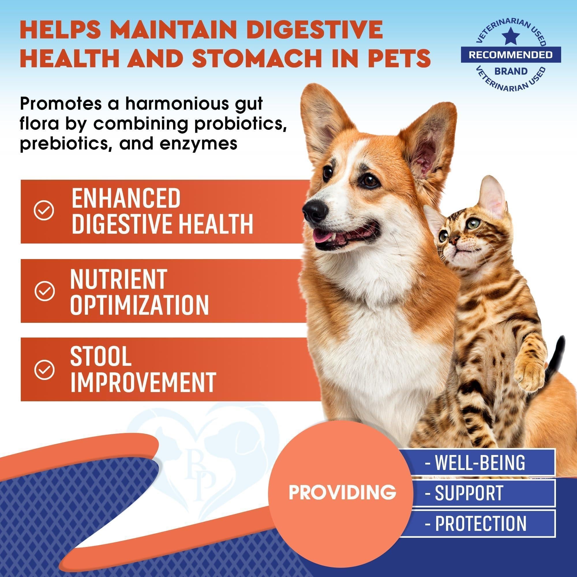 Probiotics & Prebiotics for Dogs & Cats Digestive Enzymes Gut Health