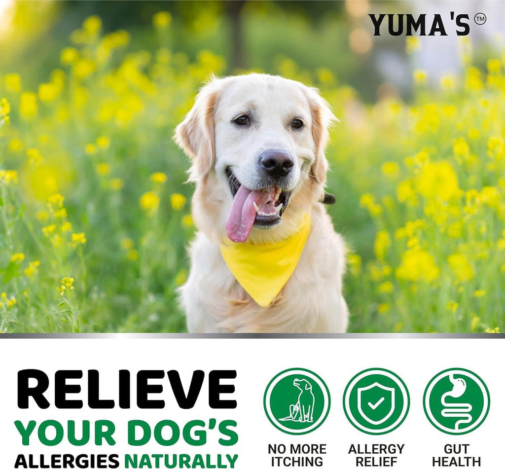 Dog Allergy Relief Chews 2-Pack Itchy Skin Relief Omega-3 Fish Oil Skin & Coat