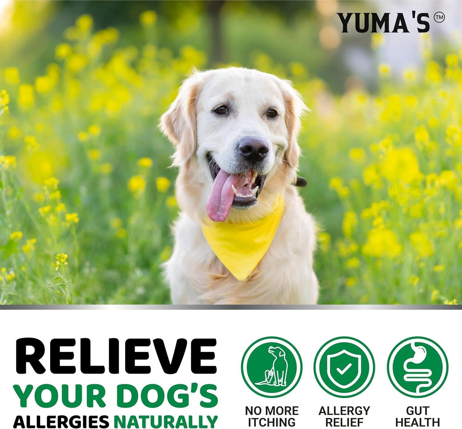 Dog Allergy Relief Chews 2-Pack Itchy Skin Relief Omega-3 Fish Oil Skin & Coat