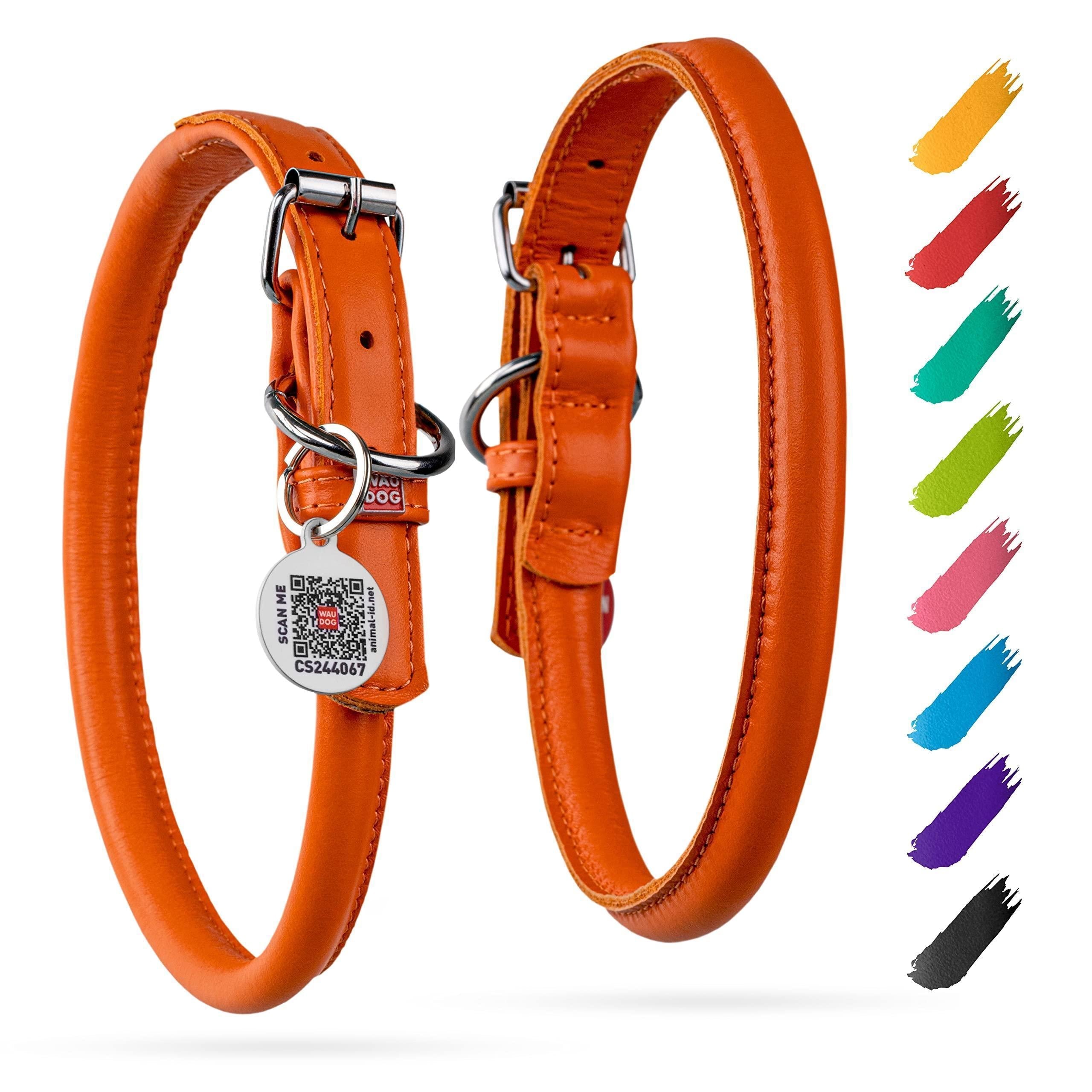 Rolled Leather Dog Collar Padded Small Dogs 13–16 in Neck Orange