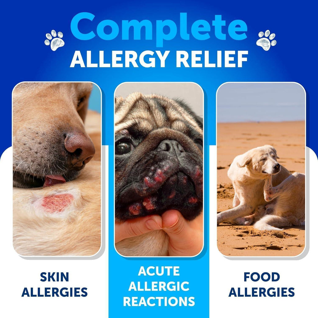 Dog Allergy Relief Chews Itchy Skin Relief Omega-3 Fish Oil