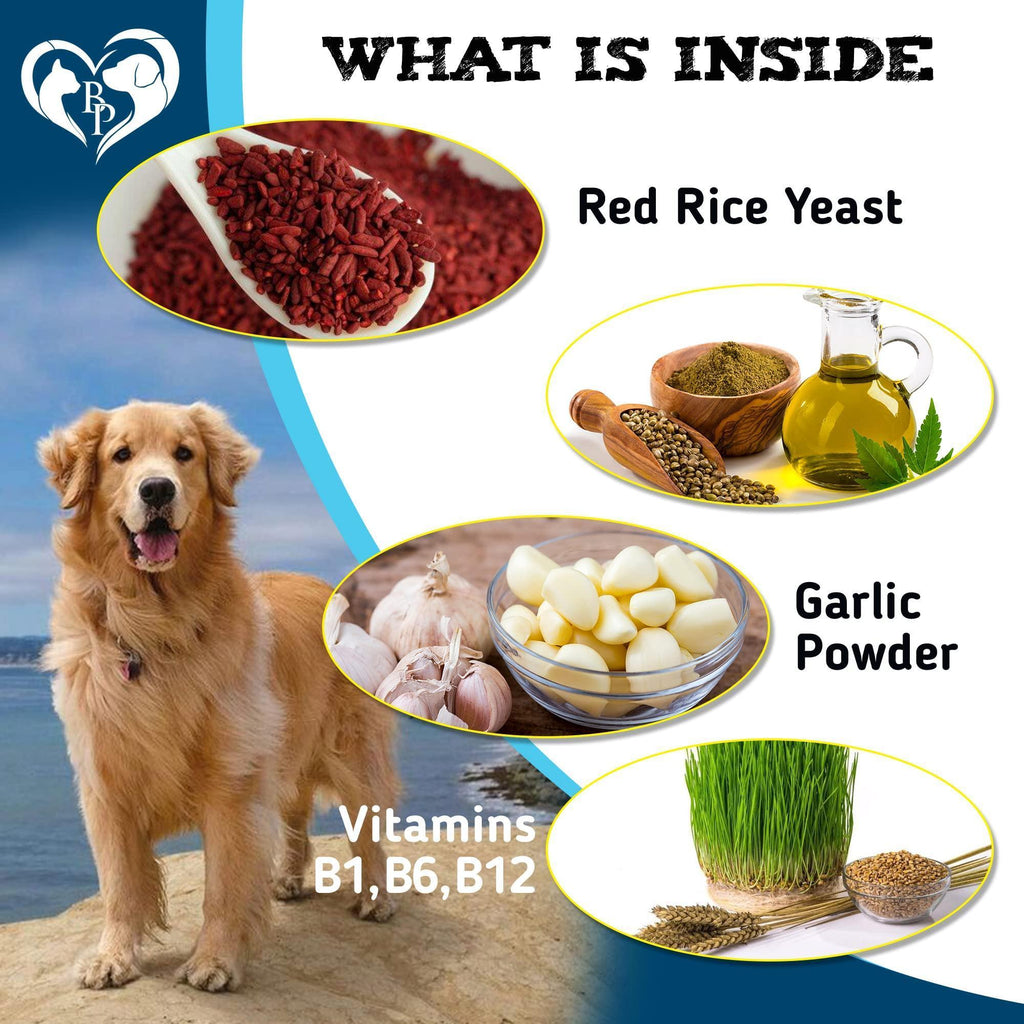 Insects Prevention Chews for Dogs & Cats Oral Tablets