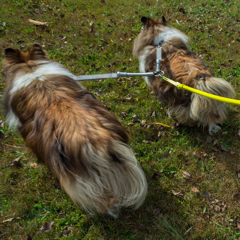 CRAZYcoupl'r - 2 Dogs on 1 Leash
