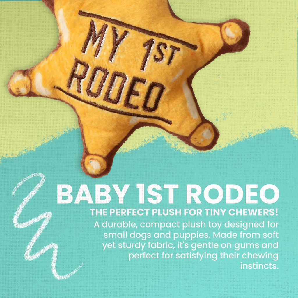 Baby 1st Rodeo