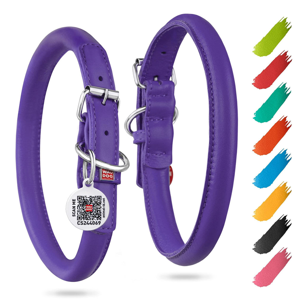 Purple Rolled Leather Dog Collar Padded All Sizes 21–24 in Neck