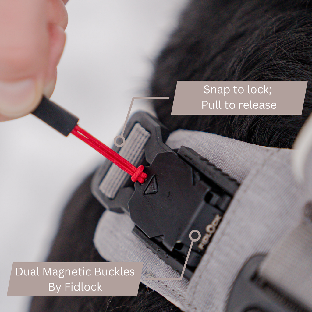 Magnetic Dog Harness with Handle - Easy On, No-Pull Design