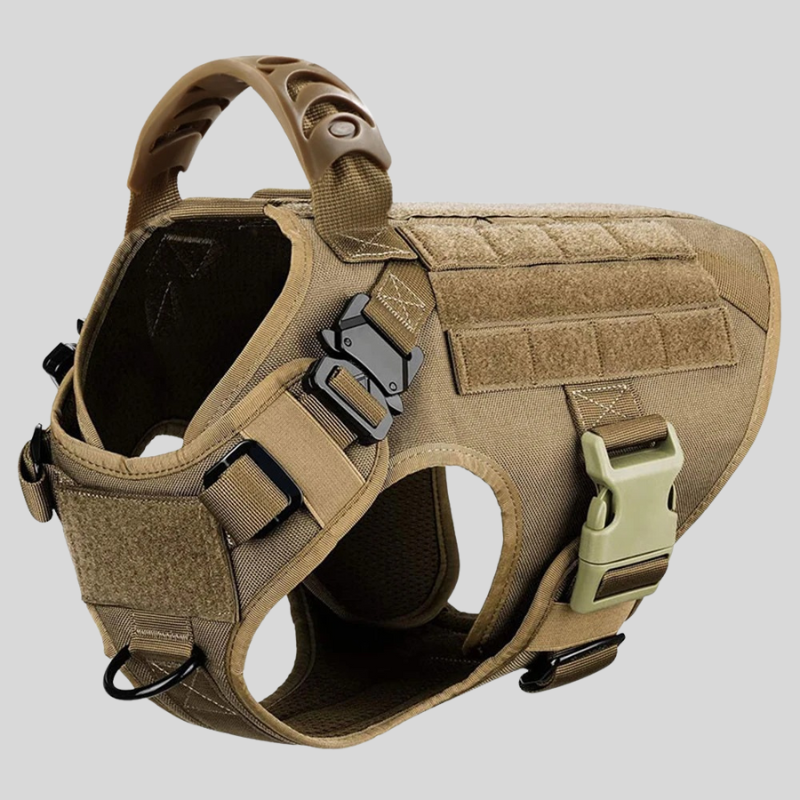 Large Dog Harness & Leash Set – Training Vest for Big Breeds