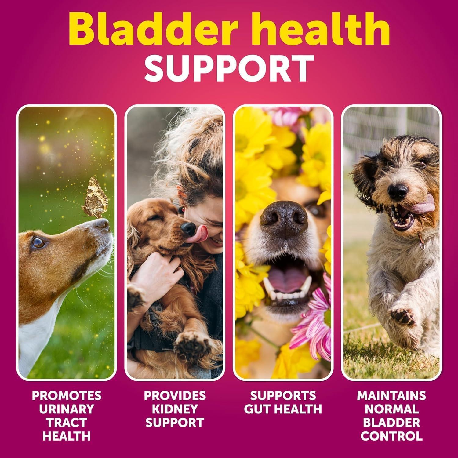 Dog UTI Treatment Cranberry Supplement Bladder Control 70 Soft Chews