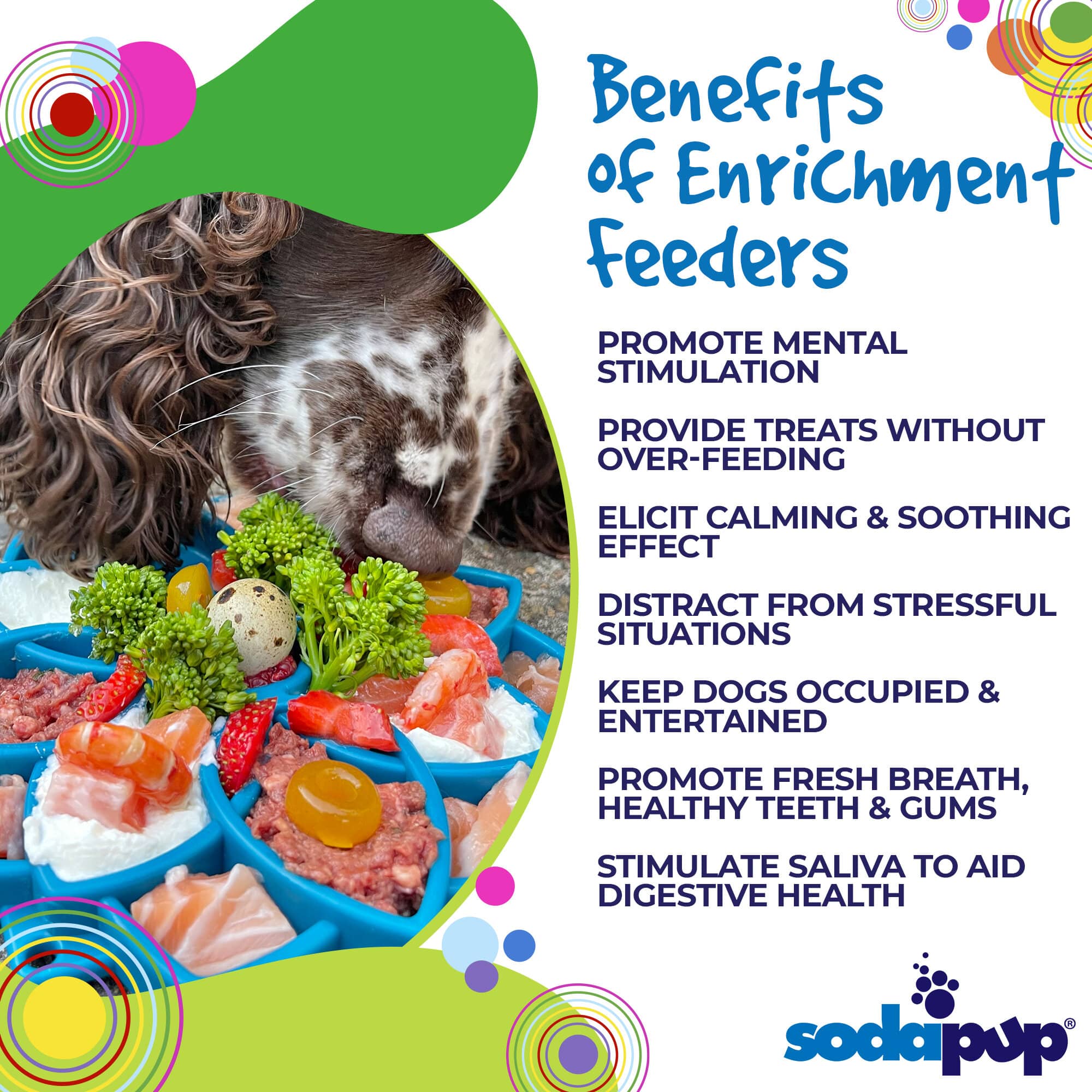 Mandala eTray Shallow Slow Feeder Dog Bowl for Enrichment | USA Made