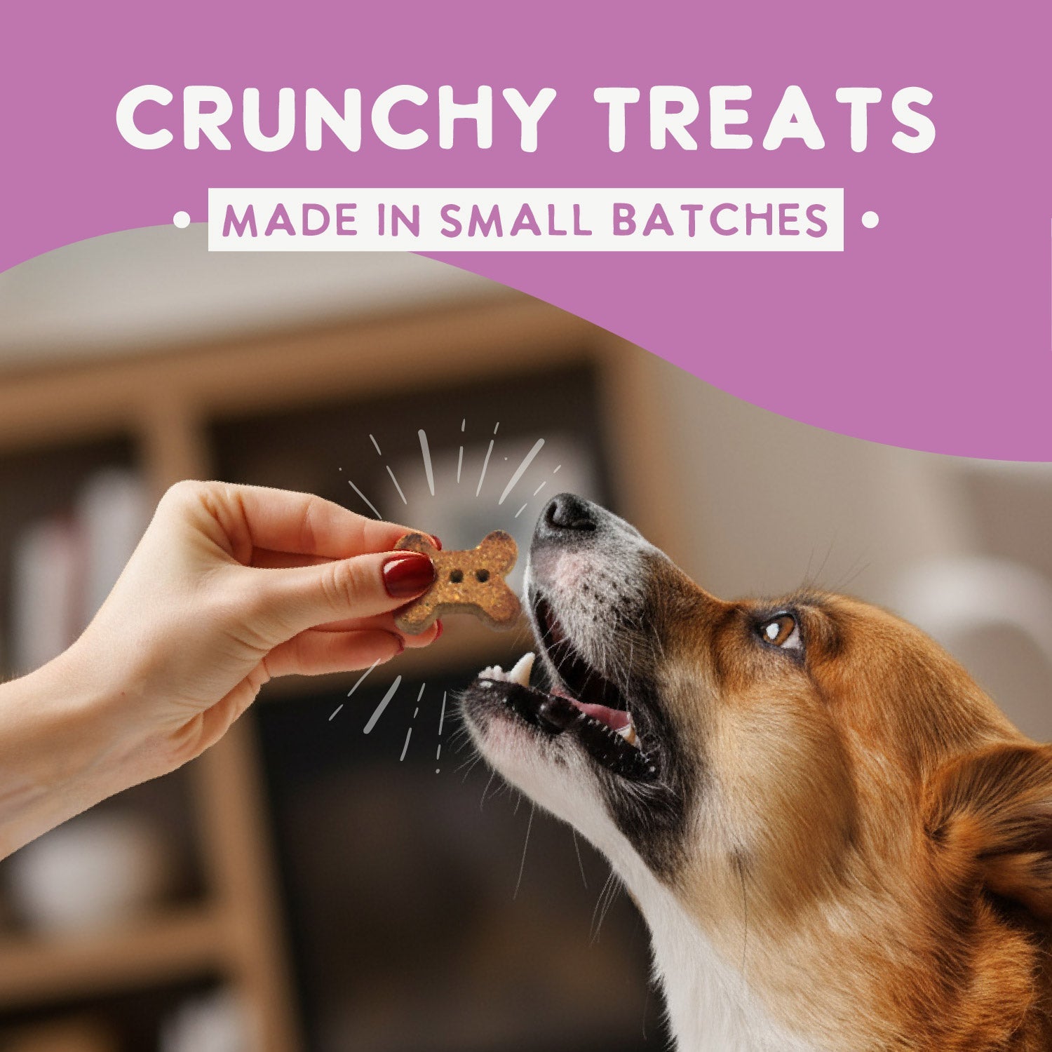 Oven Baked Salmon Treats