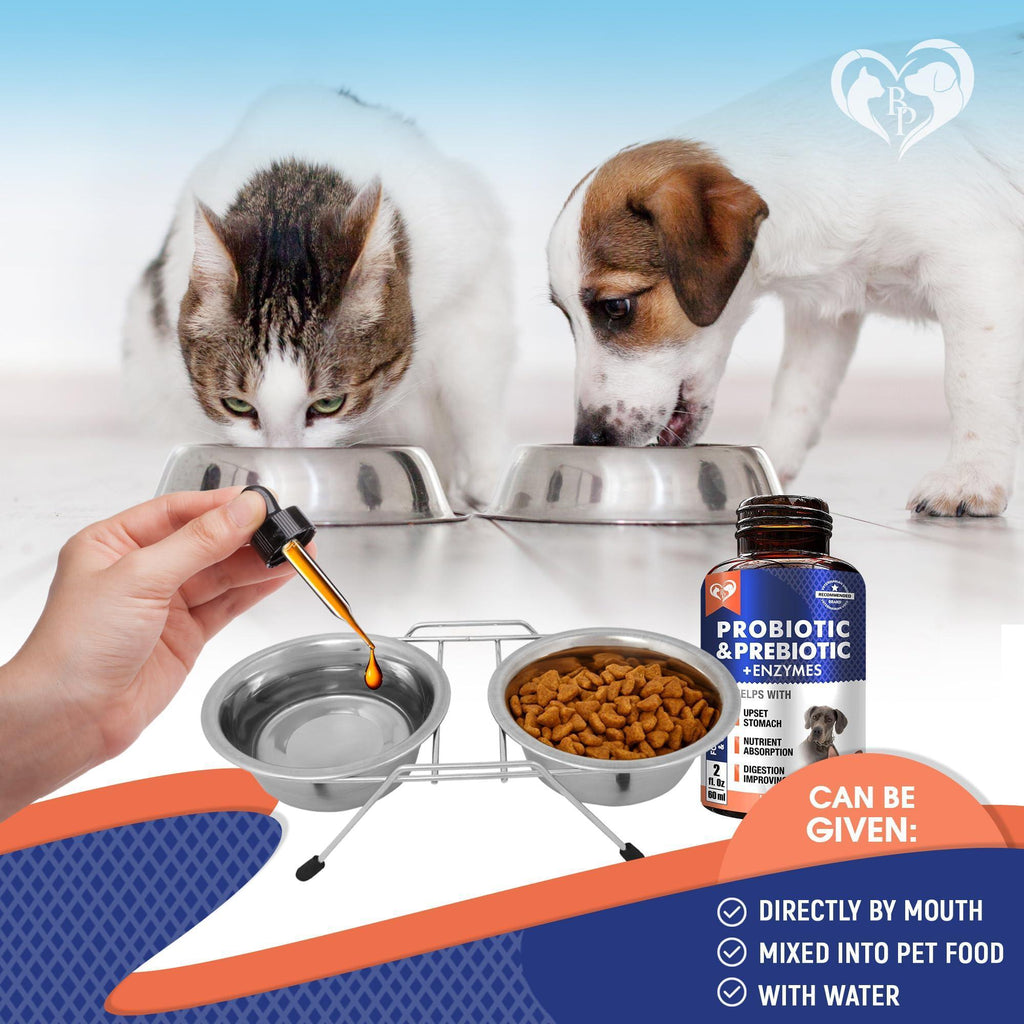 Probiotics & Prebiotics for Dogs & Cats Digestive Enzymes Gut Health