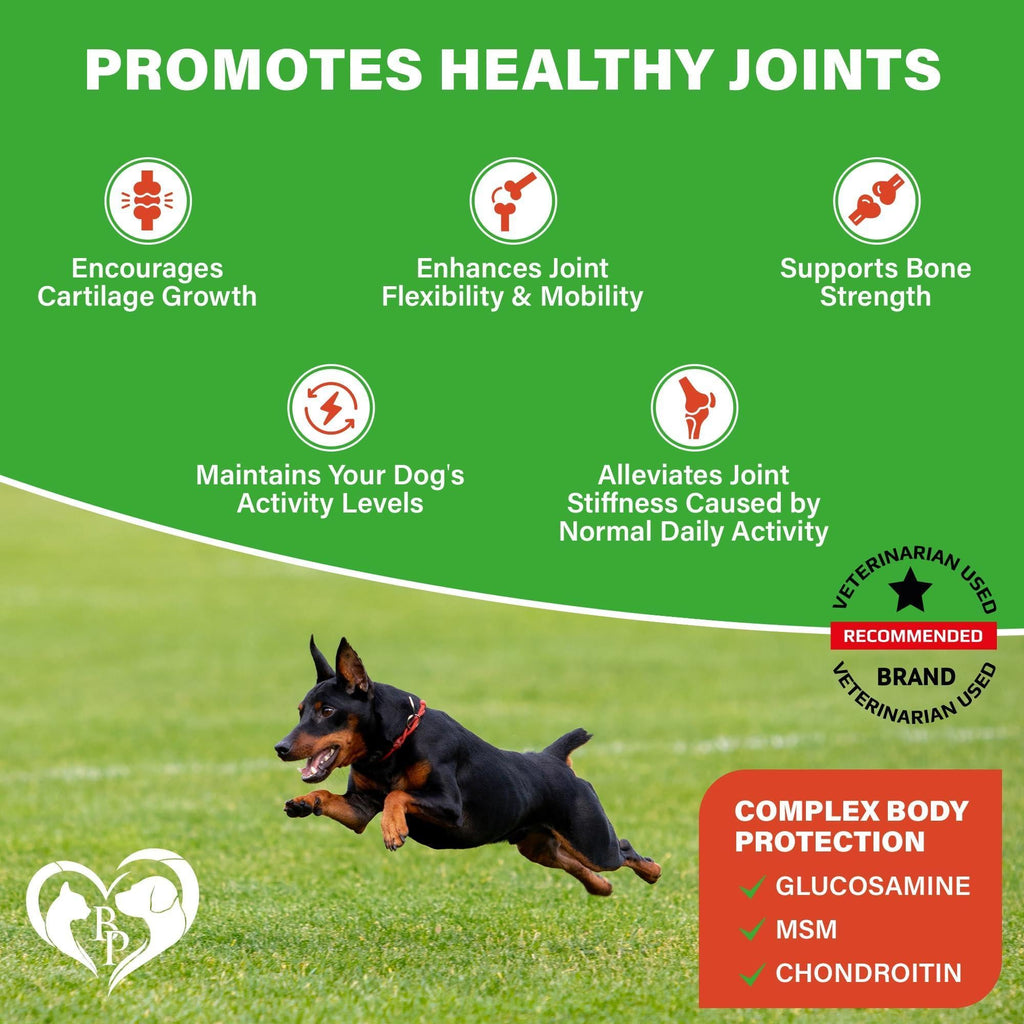 Dog Hip & Joint Chews Arthritis Pain Relief Glucosamine Chondroitin MSM & Turmeric
