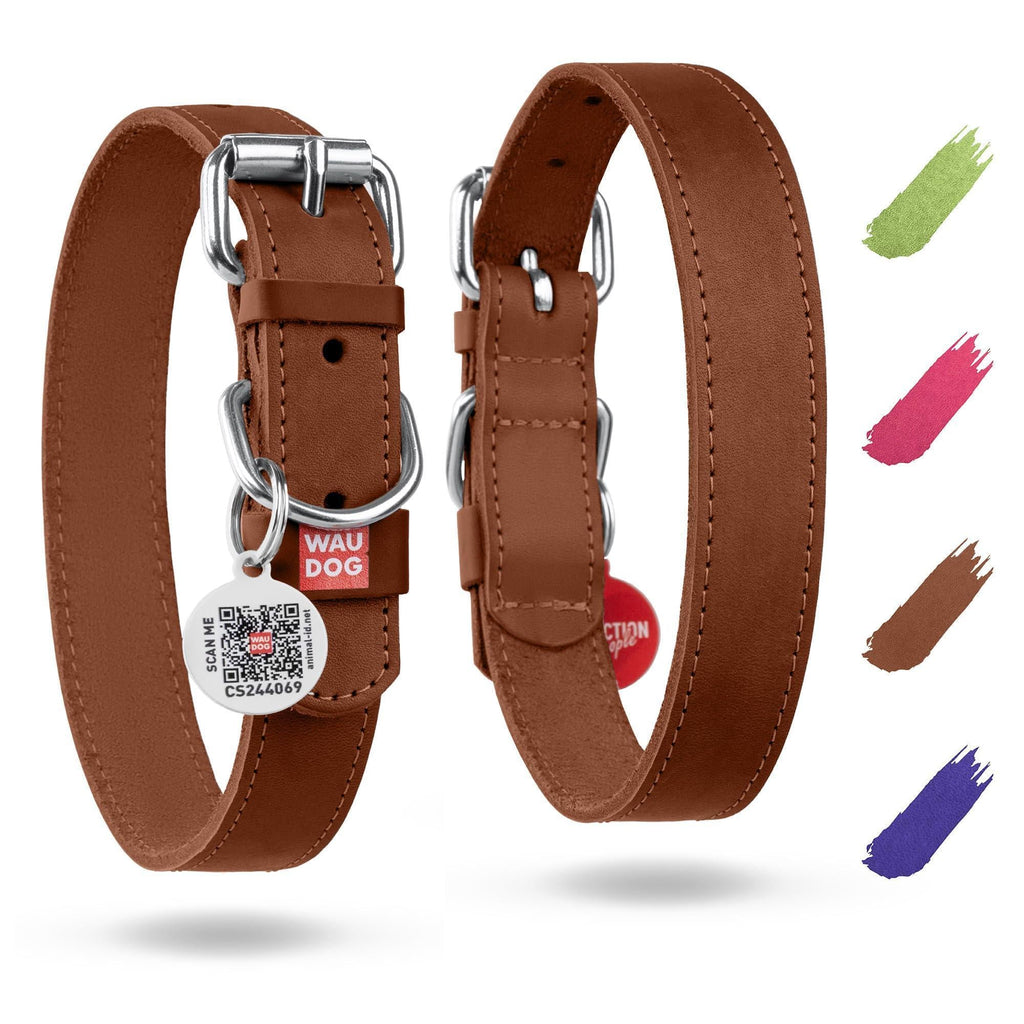 Leather Dog Collar Small & Medium Dogs 12–15 in Neck Brown