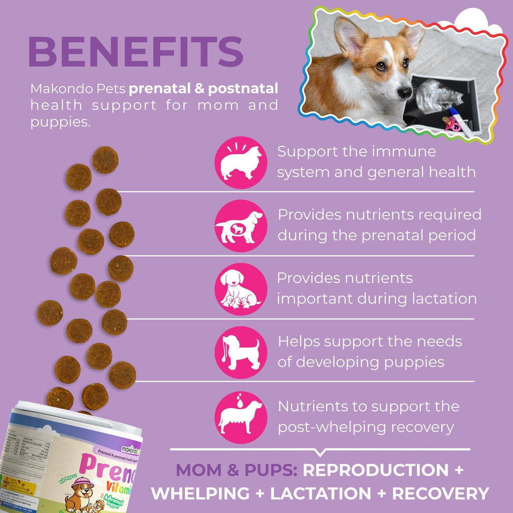 Dog Prenatal Vitamins 120 Soft Chews Folic Acid Zinc B-Complex DHA & EPA