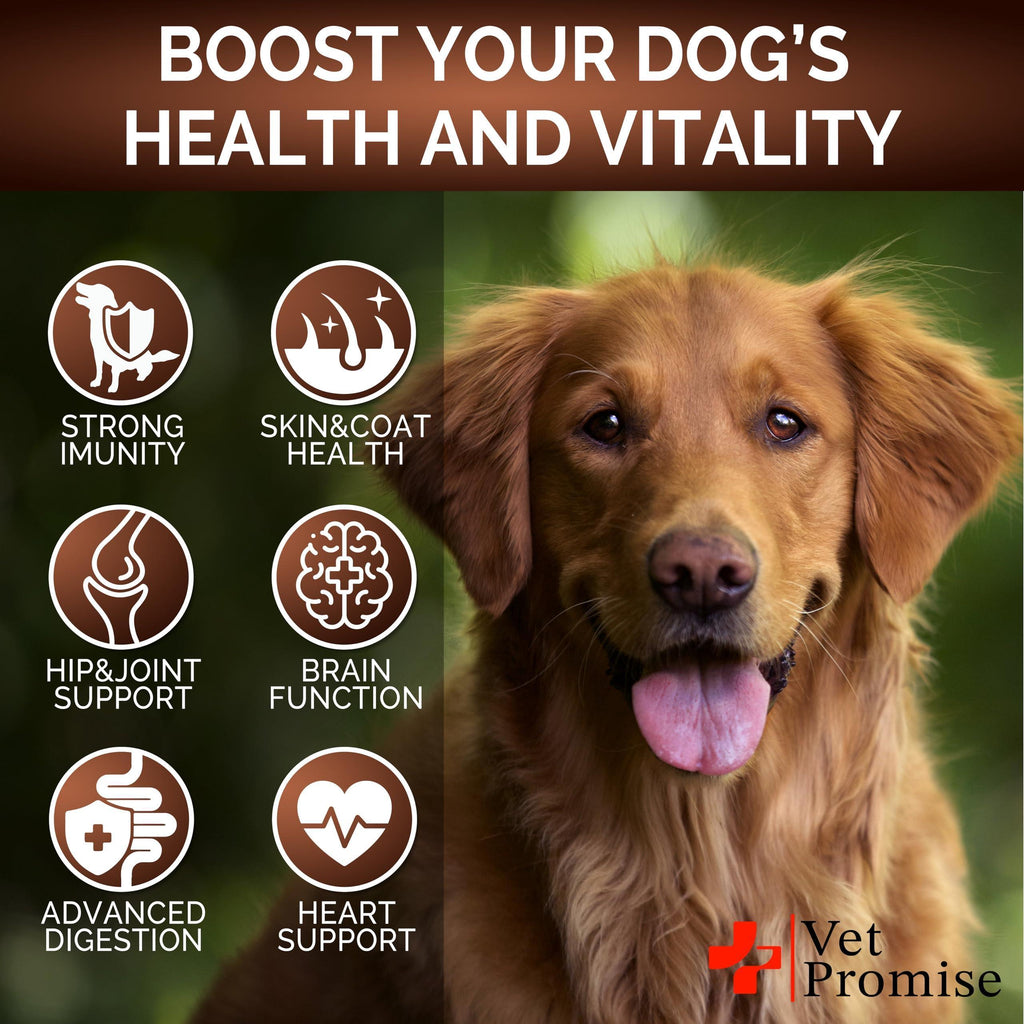 Mushroom Chews for Dogs 340 Count 2-Pack Turkey Tail Lion's Mane & Reishi