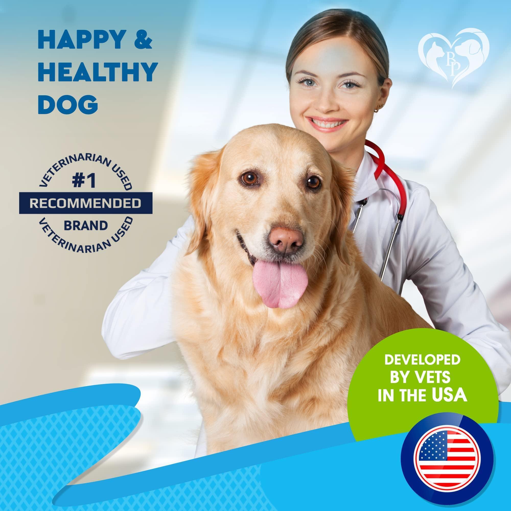 Kennel Cough Supplement for Dogs & Cats Cold & Cough Relief