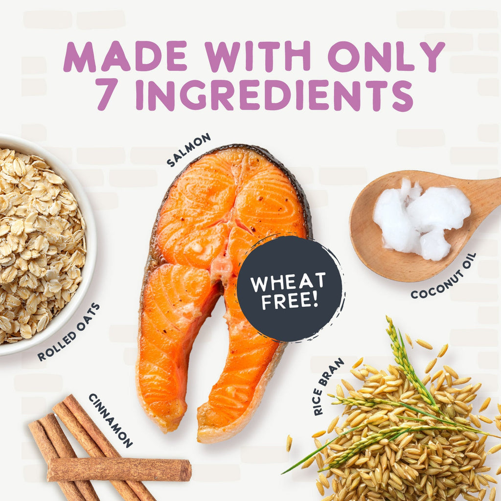 Oven Baked Salmon Treats