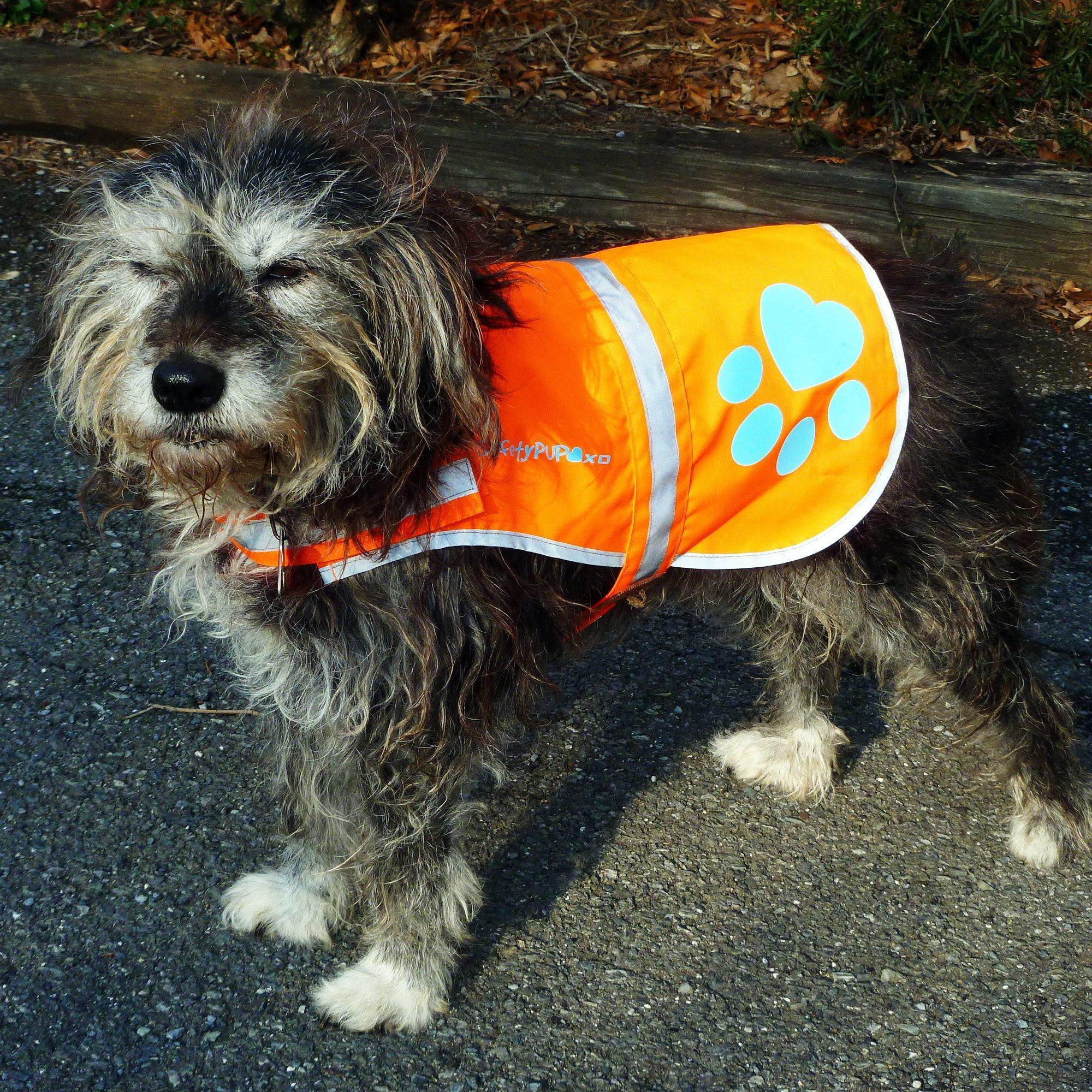 Reflective Dog Vest Hi-Vis S Size 27.5 in Chest x 19 in Neck Orange