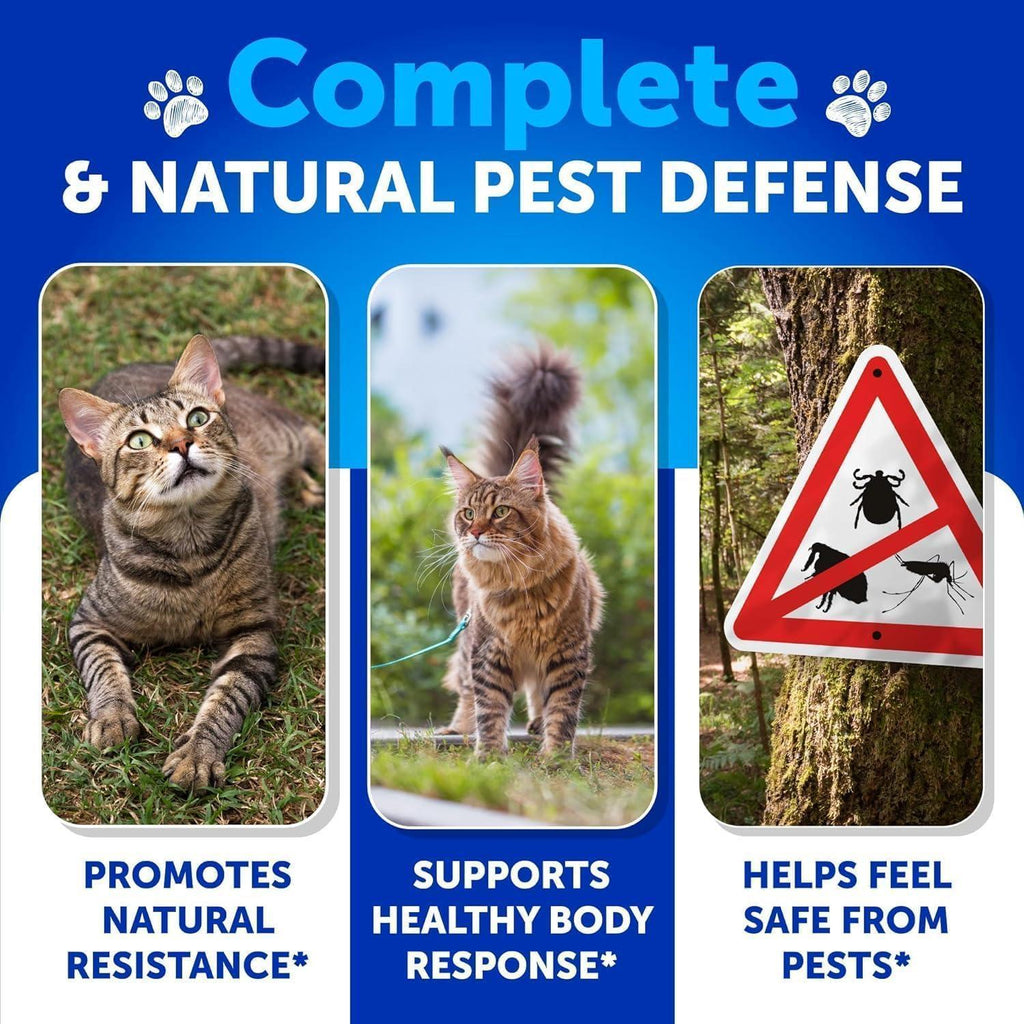Flea & Tick Chews for Cats & Kittens 135 Count Daily Oral Skin & Coat