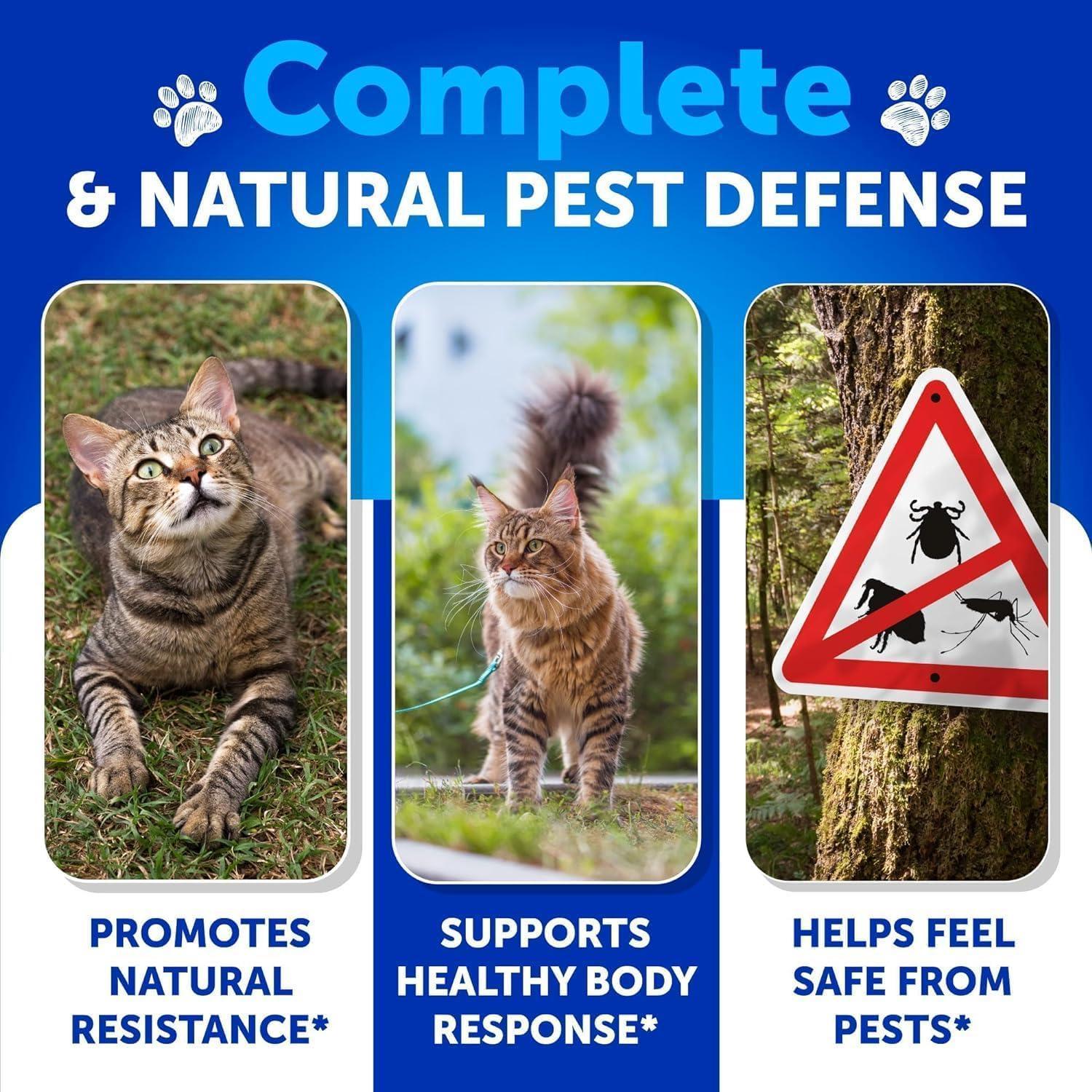 Flea & Tick Chews for Cats & Kittens 135 Count Daily Oral Skin & Coat