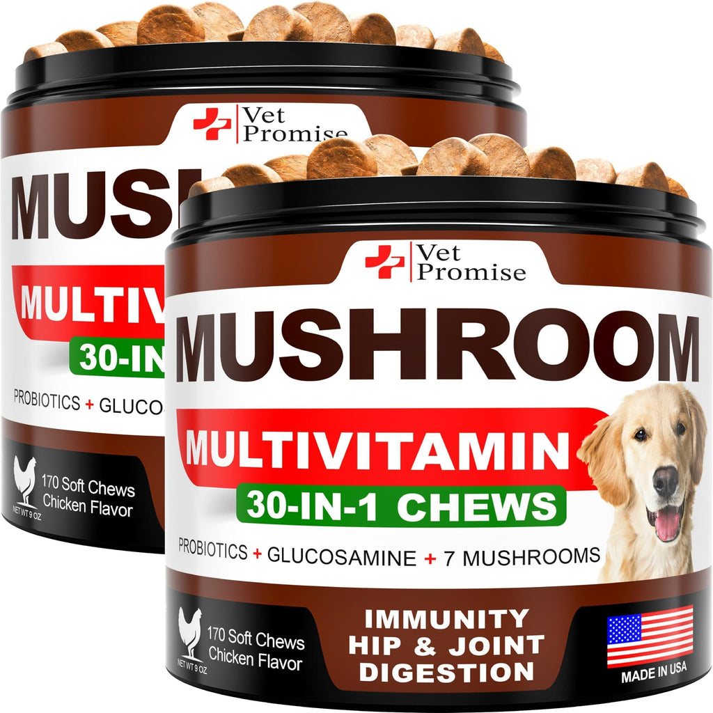 Mushroom Chews for Dogs 340 Count 2-Pack Turkey Tail Lion's Mane & Reishi