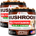 Mushroom Chews for Dogs 340 Count 2-Pack Turkey Tail Lion's Mane & Reishi