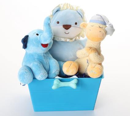 Boy-oh-Boy SQUEAKY Gift Basket for Dogs & Puppies: 3 Sizes