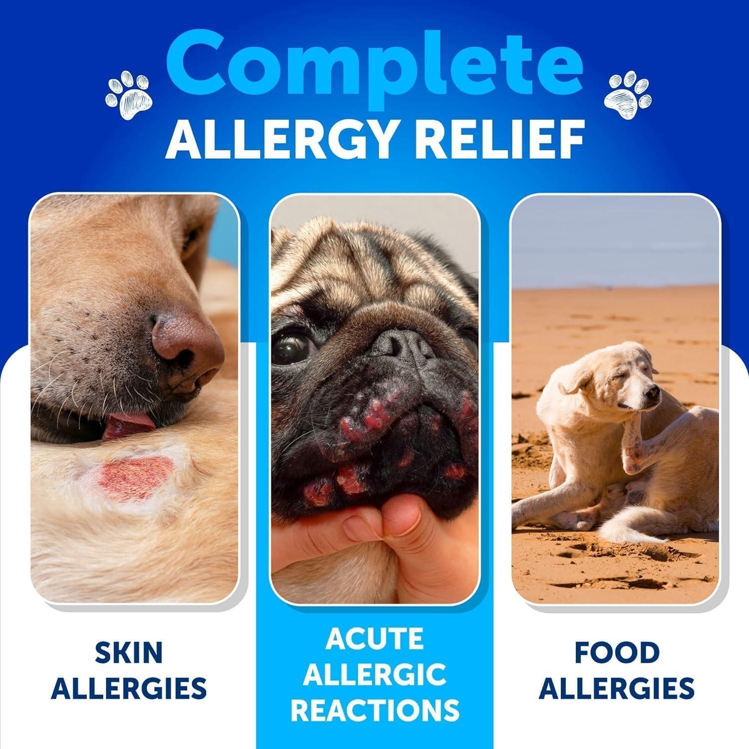 Dog Allergy Relief Chews Itchy Skin Relief Omega-3 Fish Oil