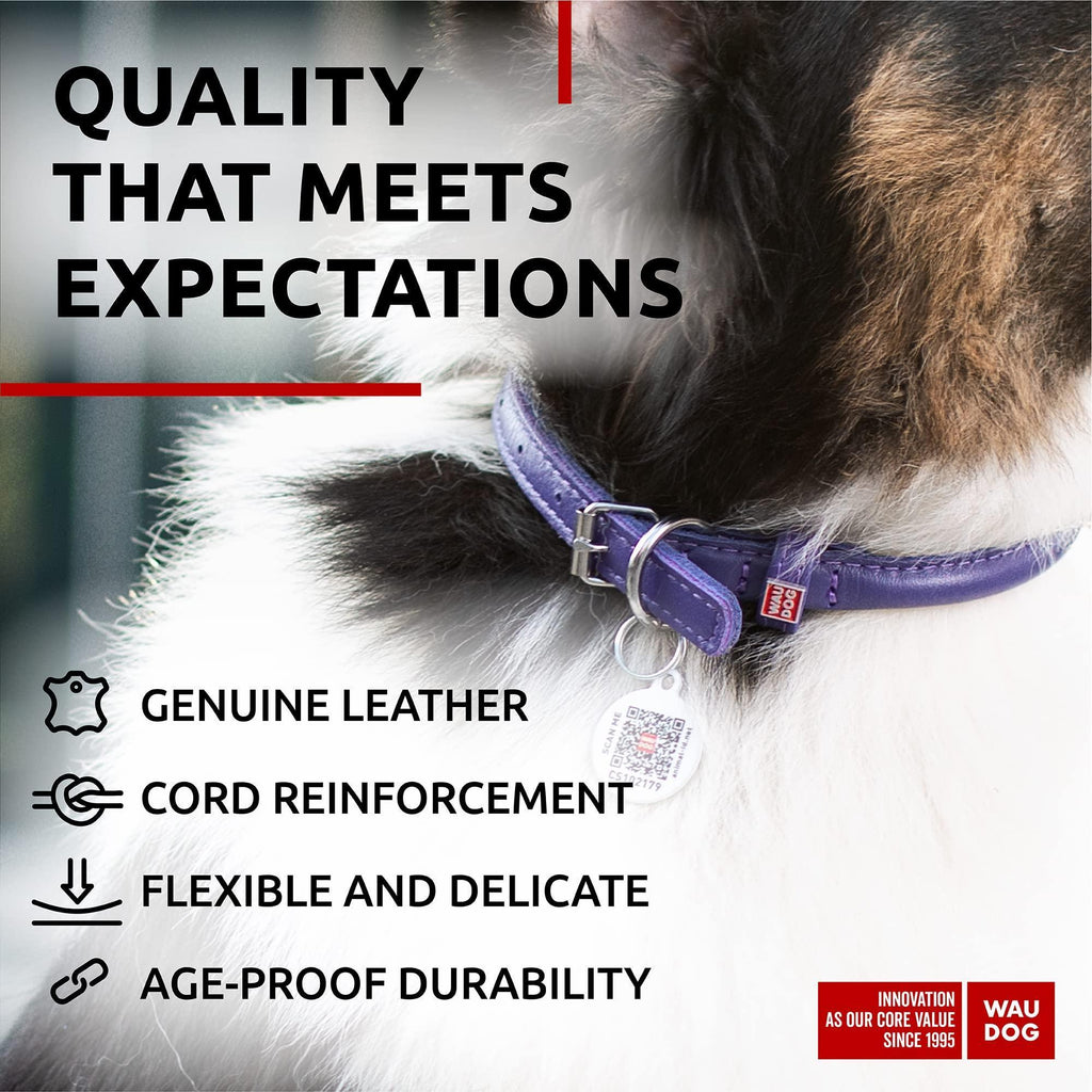 Purple Rolled Leather Dog Collar Padded All Sizes 21–24 in Neck