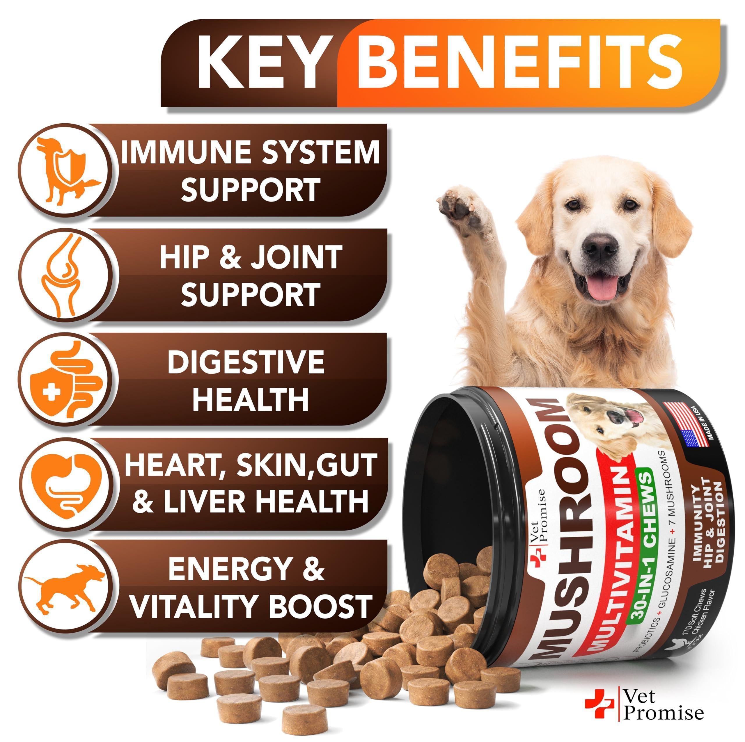 Mushroom Chews for Dogs 340 Count 2-Pack Turkey Tail Lion's Mane & Reishi
