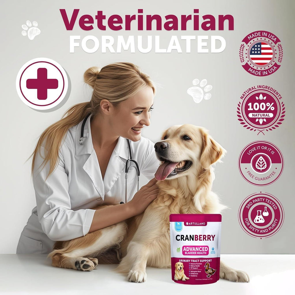 Dog UTI Treatment Cranberry Supplement Bladder Control 70 Soft Chews