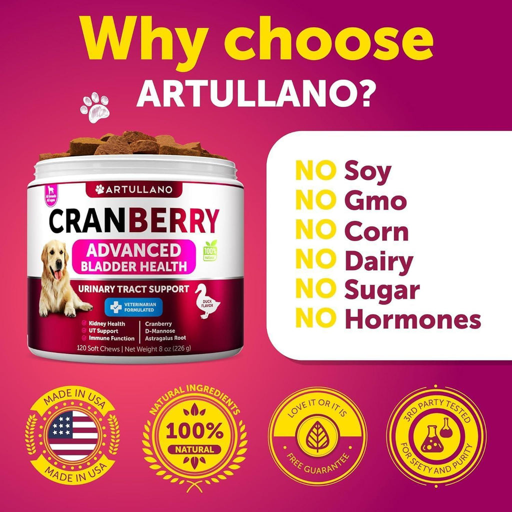 Dog UTI Treatment Cranberry Supplement Bladder Control