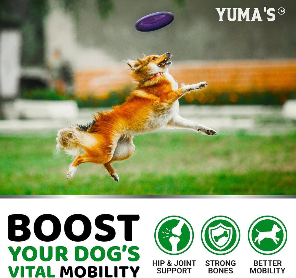 Glucosamine for Dogs 2-Pack Chondroitin Joint Pain Relief