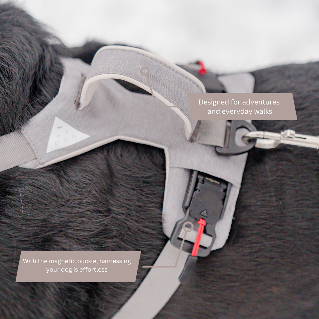 Magnetic Dog Harness with Handle - Easy On, No-Pull Design