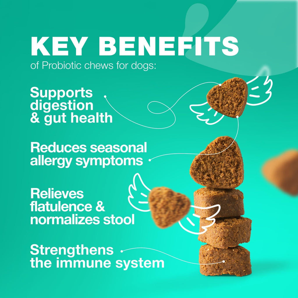 Probiotics for Dogs Digestive Enzymes Gut Health Pumpkin & Yeast Powder