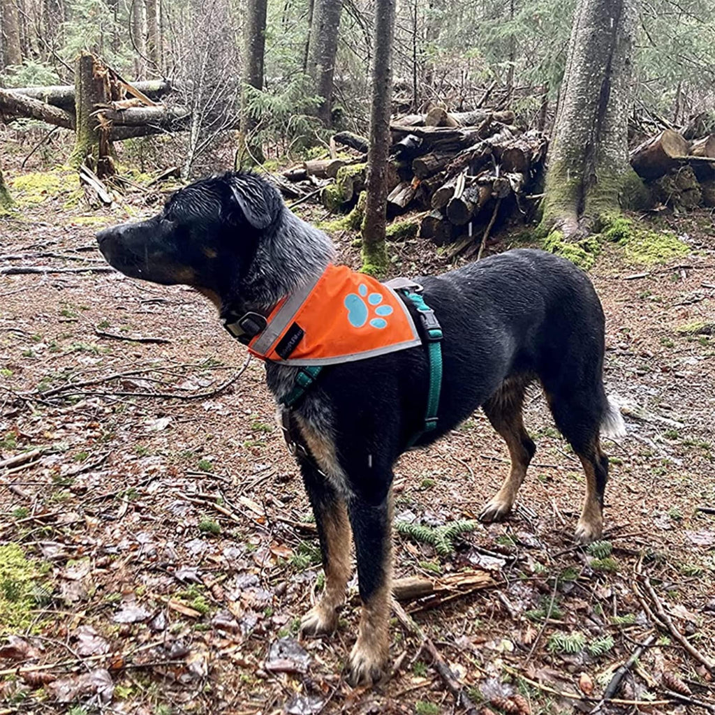 Reflective Dog Bandana Hi-Vis 24.5 in Chest x 22 in Neck Orange