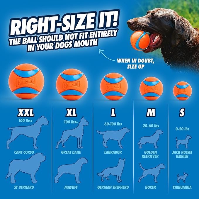 ChuckIt Dog Ultra Ball Small 2 Pack